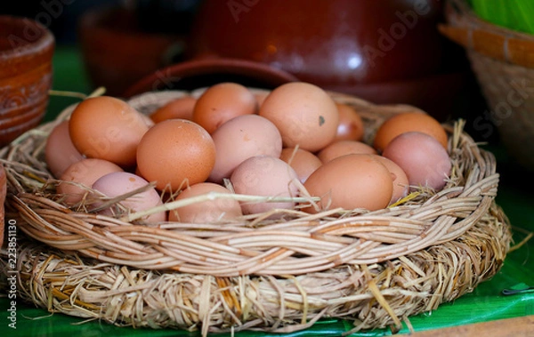 Obraz fresh chicken eggs with nest