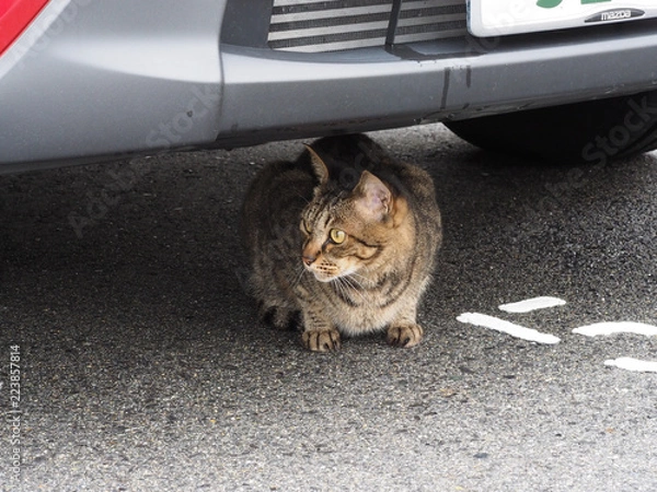 Obraz OLYMPUS DIGITAL CAMERA