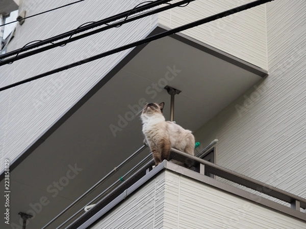 Obraz OLYMPUS DIGITAL CAMERA