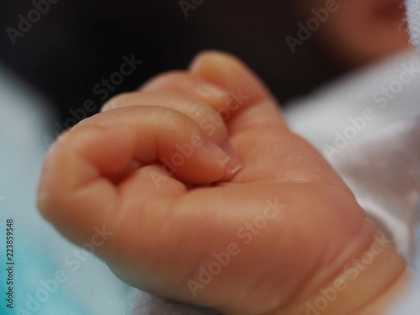 Obraz OLYMPUS DIGITAL CAMERA