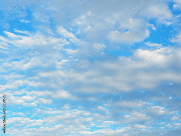 Obraz OLYMPUS DIGITAL CAMERA