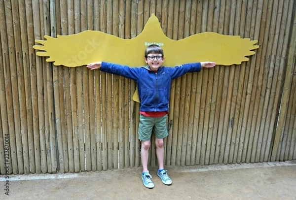 Obraz Bald Eagle and boy