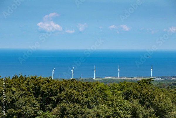 Fototapeta 鳥取で日本海に映える風車と日本海の水平線