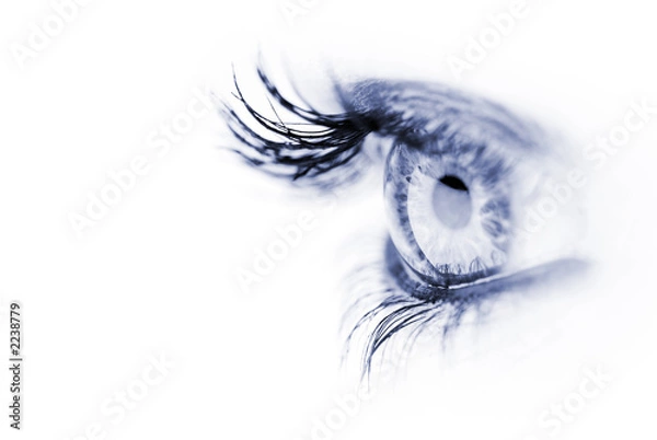 Obraz oeil