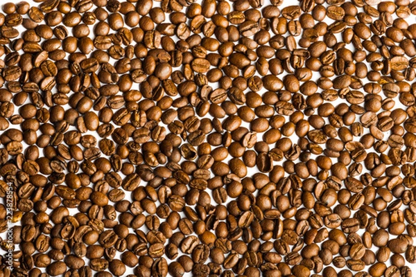 Obraz Coffee beans a lot 1