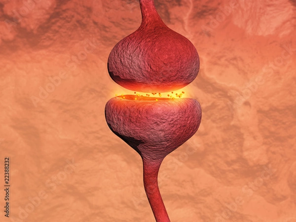Obraz Neuronal transmission through a synapse