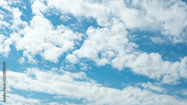 Fototapeta 青空・雲