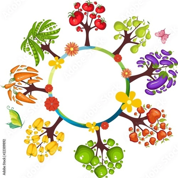 Fototapeta vegetable set