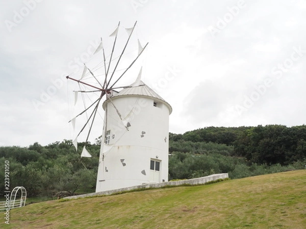 Fototapeta OLYMPUS DIGITAL CAMERA