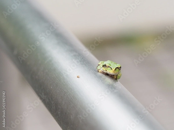 Obraz OLYMPUS DIGITAL CAMERA