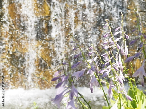 Obraz OLYMPUS DIGITAL CAMERA