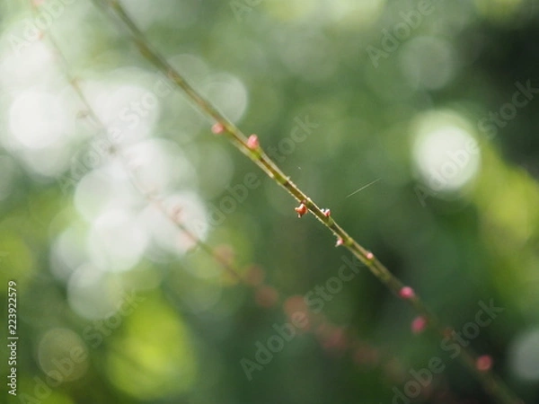 Obraz OLYMPUS DIGITAL CAMERA