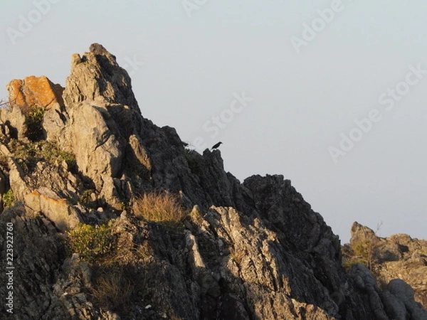 Obraz OLYMPUS DIGITAL CAMERA