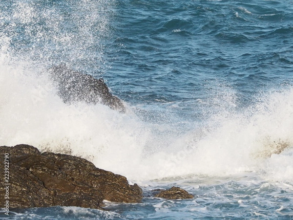 Obraz OLYMPUS DIGITAL CAMERA