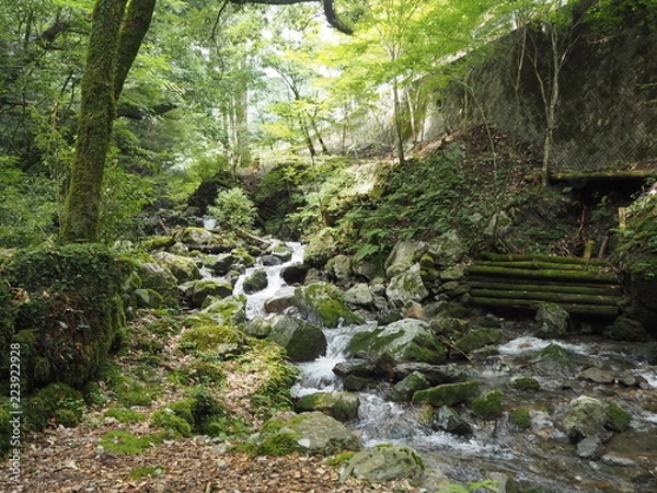 Obraz OLYMPUS DIGITAL CAMERA