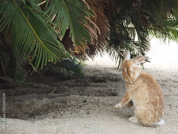 Obraz OLYMPUS DIGITAL CAMERA