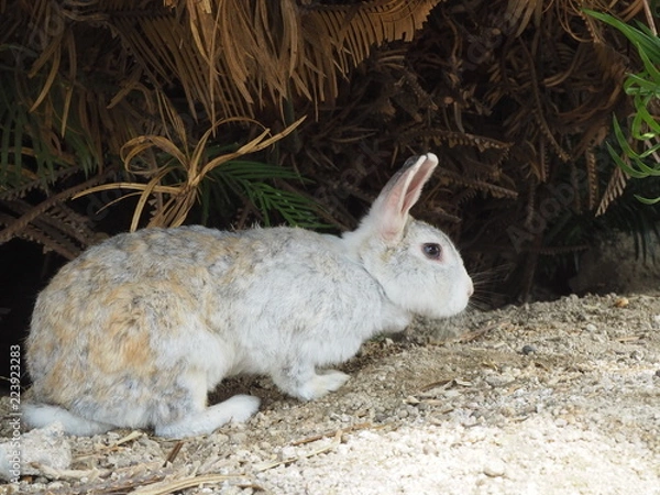 Obraz OLYMPUS DIGITAL CAMERA