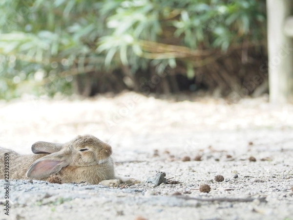 Obraz OLYMPUS DIGITAL CAMERA