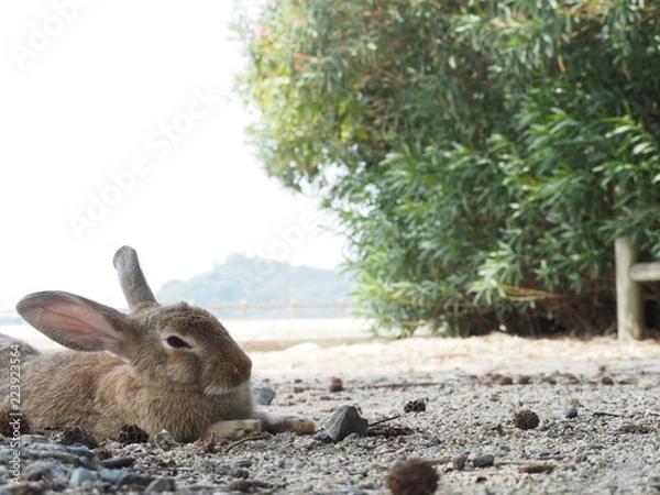 Obraz OLYMPUS DIGITAL CAMERA