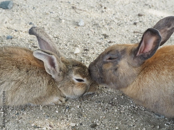 Obraz OLYMPUS DIGITAL CAMERA