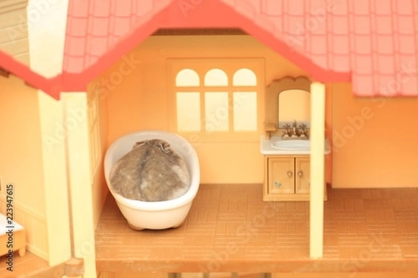 Obraz ハムスター