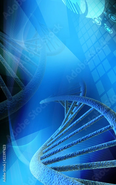 Obraz dna