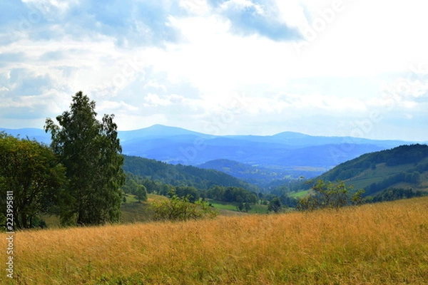Fototapeta meadow at the Lądek Pass, view of the Śnieżnik Massif