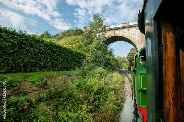 Fototapeta A view from window of wooden railway car of countryside, trees and grass along railway track, green and red steam engine riding through a valley under stone bridge, Czech Republic, Europe