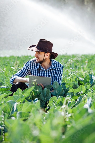 Obraz farmer man agronomist sun worker check digital tablet computer plantation technology hat sprinkler system water