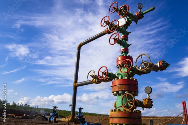 Fototapeta Horizontal view of a wellhead with valve armature. Oil and gas industry concept. Industrial site background. Toned.