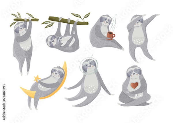 Fototapeta Lazy tropical sloth collection.