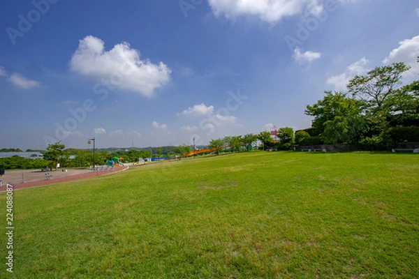 Fototapeta ふれあいの森