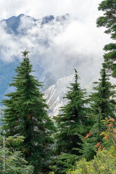 Obraz misty mountains