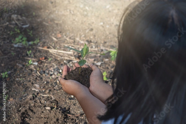 Fototapeta Hands clutching clay and seedlings