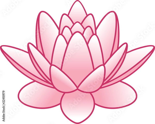 Obraz flower lotus