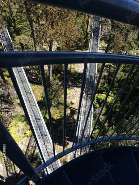 Obraz lookout in forest
