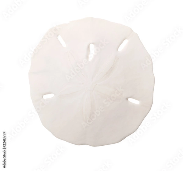 Obraz Dolar piasku na białym tle