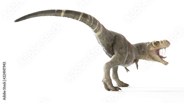 Fototapeta 3d rendered illustration of a T-rex