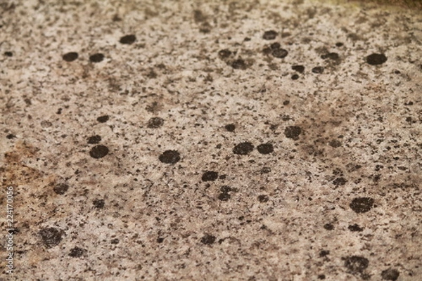 Fototapeta Mossy rock texture