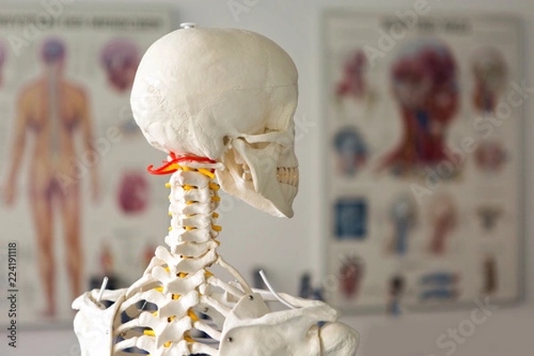 Fototapeta Physiotherapie