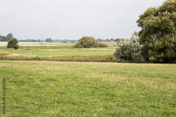Obraz tranquil danish landscape in syddanmark
