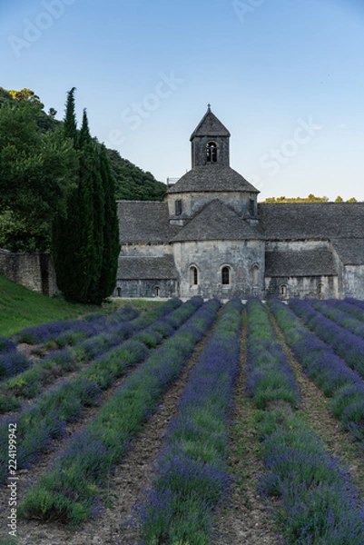 Fototapeta The famous Abbaye Notre-Dame de Sénanque with lavender field in the foreground, Provence, France