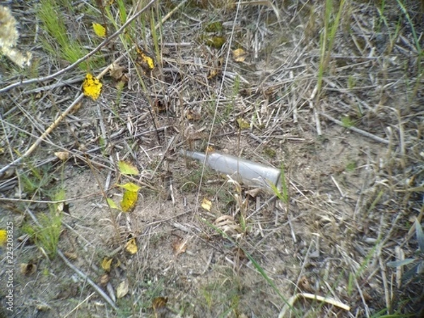 Obraz glass bottle in grass