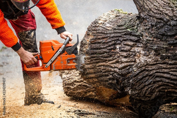 Obraz Kettensäge Forst Baum fällen