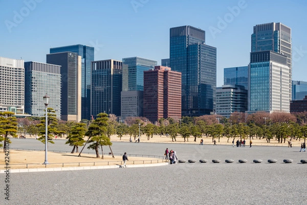 Fototapeta TOKYO, JAPAN - 14 FEB 2018: Chiyoda skyline and trees from Imperial palace park at daytime