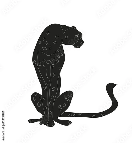 Obraz cheetah sitting drawing silhouette, vector