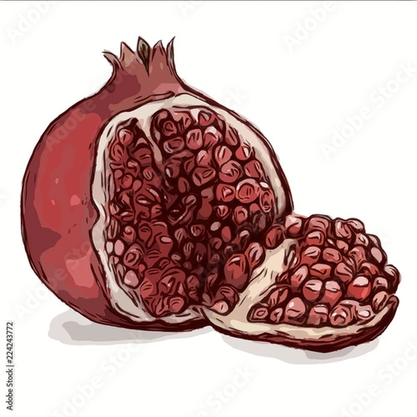 Obraz coffee beans on white background