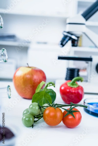Fototapeta Chemical Laboratory of the Food supply . Food in laboratory, dna modify .GMO Genetically modified food in lab .
