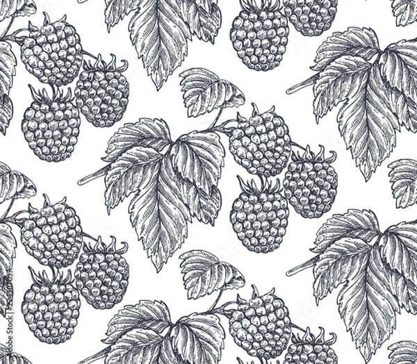 Fototapeta Vector seamless pattern with hand drawn raspberries in sketch style.
