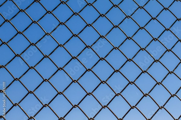 Fototapeta Metal fence from the grid. Protective fence. Texture